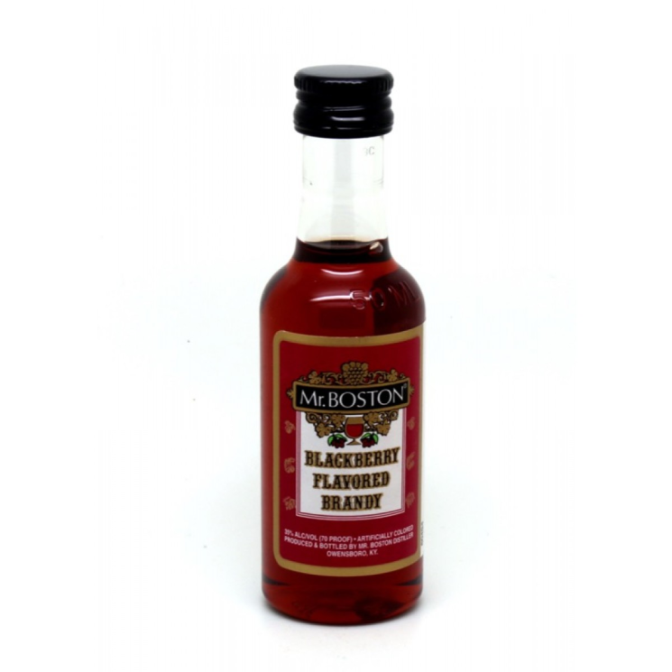 MR BOSTON BLKBERRY BRANDY 200M